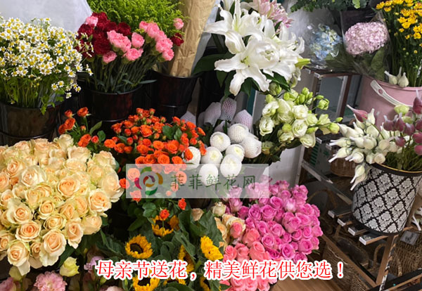 2024南阳方城县母亲节送花,南阳方城县精美鲜花供您选!